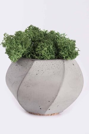 Home plant4 free img