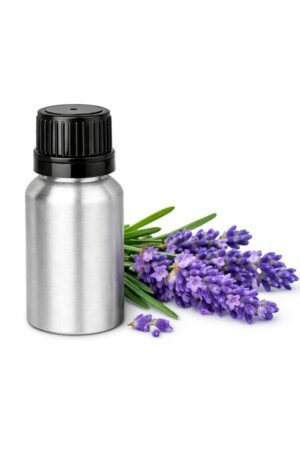 lavender essential oil