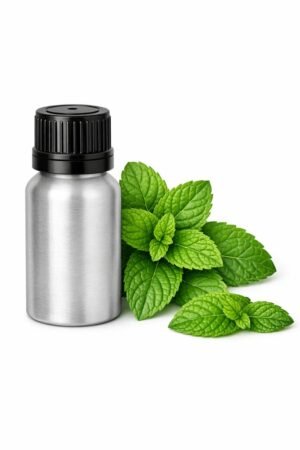 pure peppermint essential oil | mentha piperita