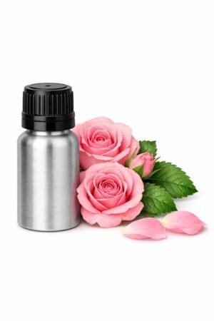 pure rose essential oil rosa damascena / rosa centifolia)